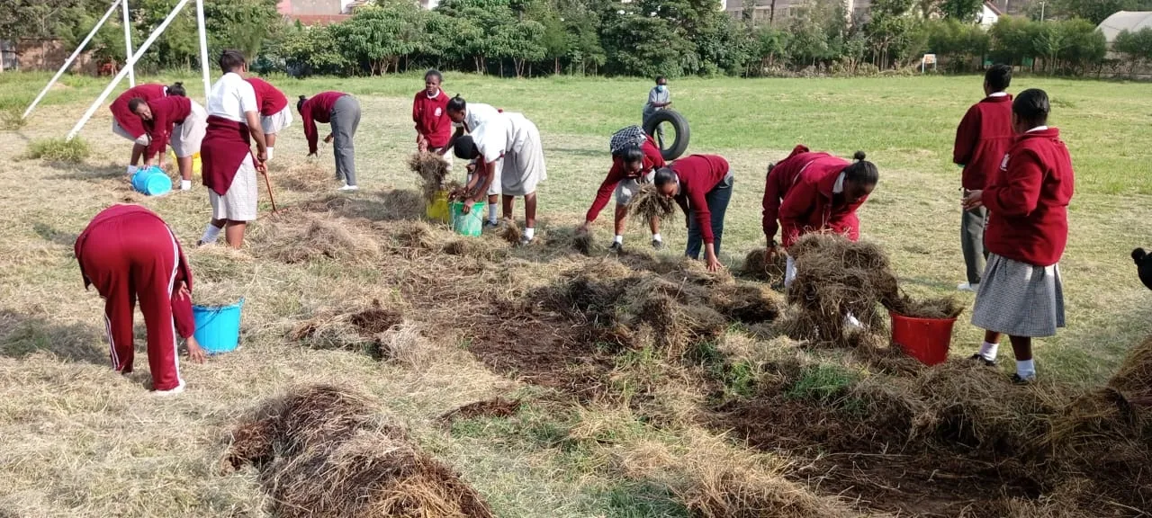 A class of students gathering dried grass into buckets on the school field.