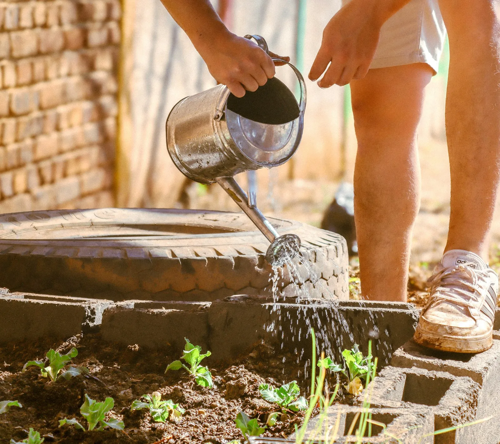 A man watering a newly-built vegetable garden for a children's creche