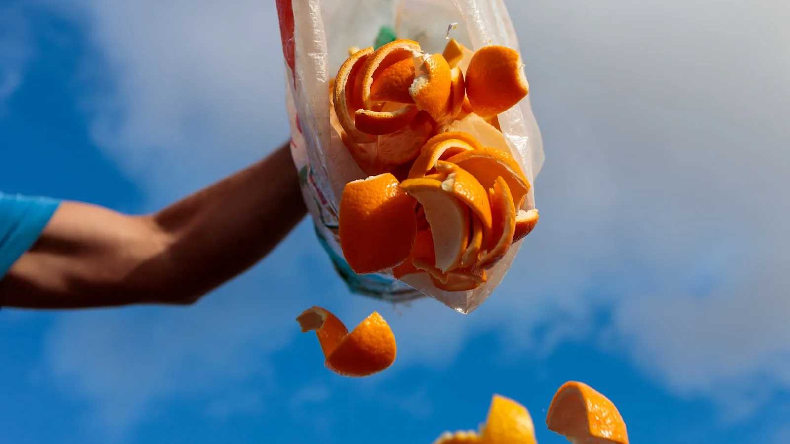 Hands pouring fresh orange peels from a sack — citrus waste in motion against an outdoor backdrop.